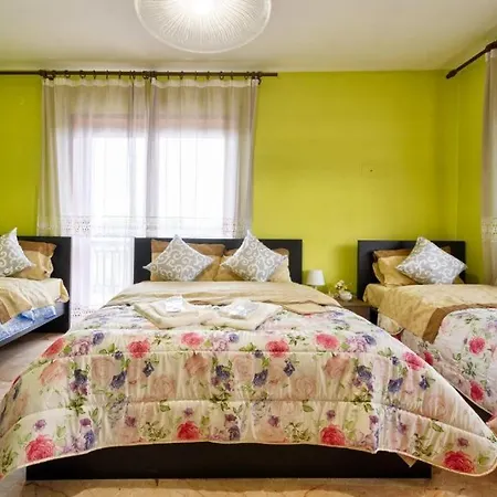 Holly Guest house